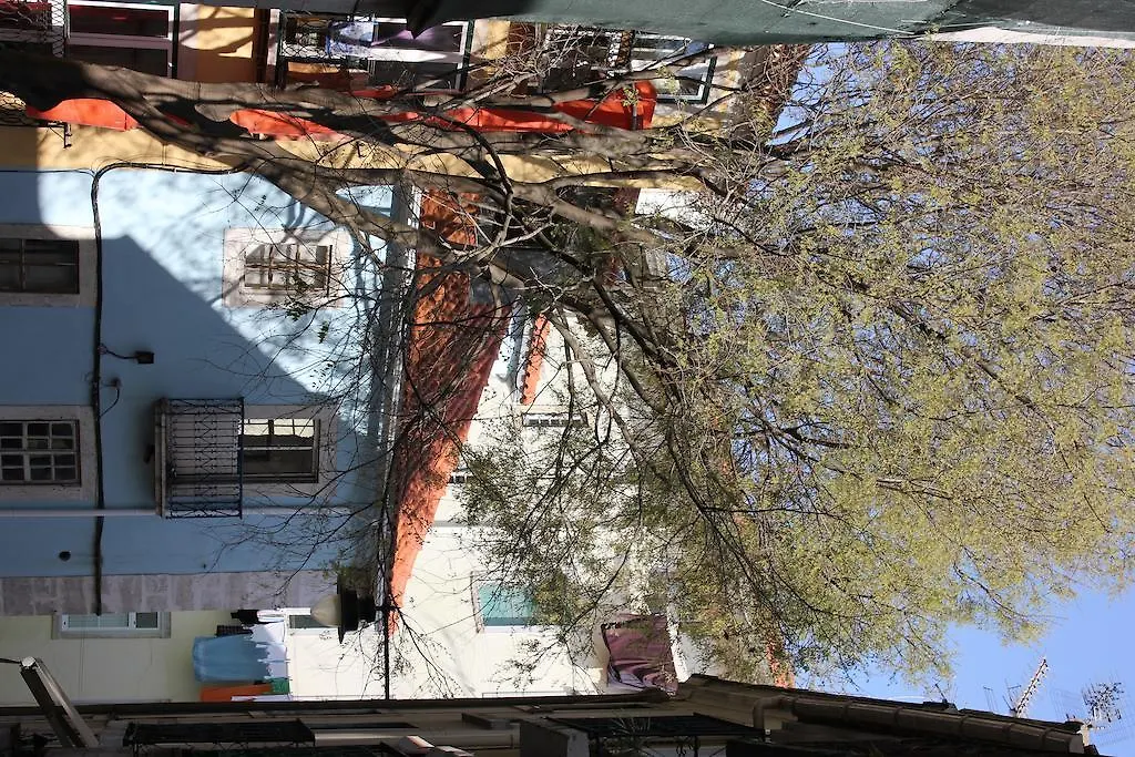 Small Flat In The Heart Of Lisbon Lägenhet